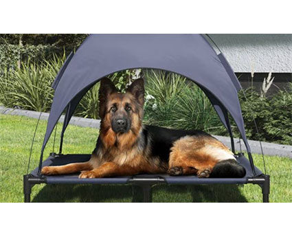 5 Must-Have Products for RV Camping with Dogs and Cats